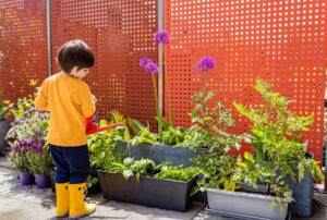 child watering plants in container on a balcony