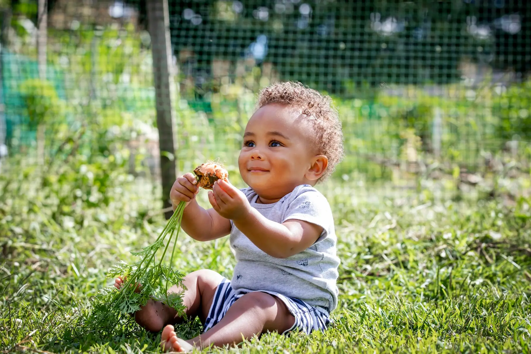 Baby sitting in a garden