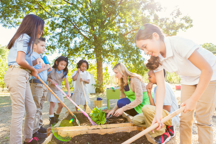 Diverse group of elementary age children are using gardening tools to plant vegetables in school garden during outdoor science class. Children are wearing private elementary school uniforms, and learning about plant life. Teacher is showing children how to plant vegetables.