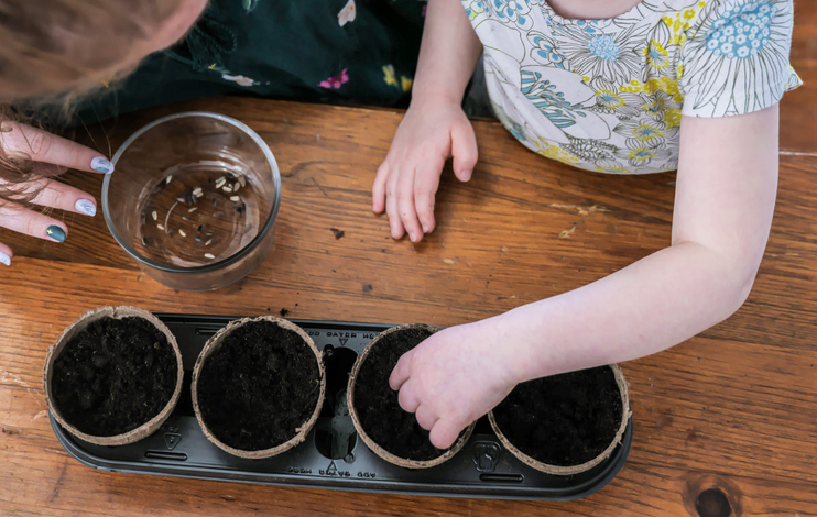 Indoor Gardening