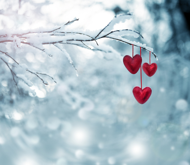Red hearts on snowy tree branch in winter. Holidays happy valentines day. Love concept.