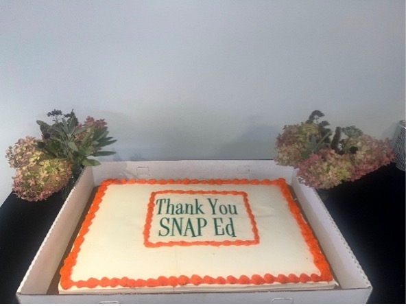 A cake with frosting the colors of the SNAPED logo, orange and green, that reads, Thank You SNAP Ed