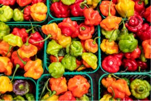 Multiple baskets of multi-colored peppers as seen above