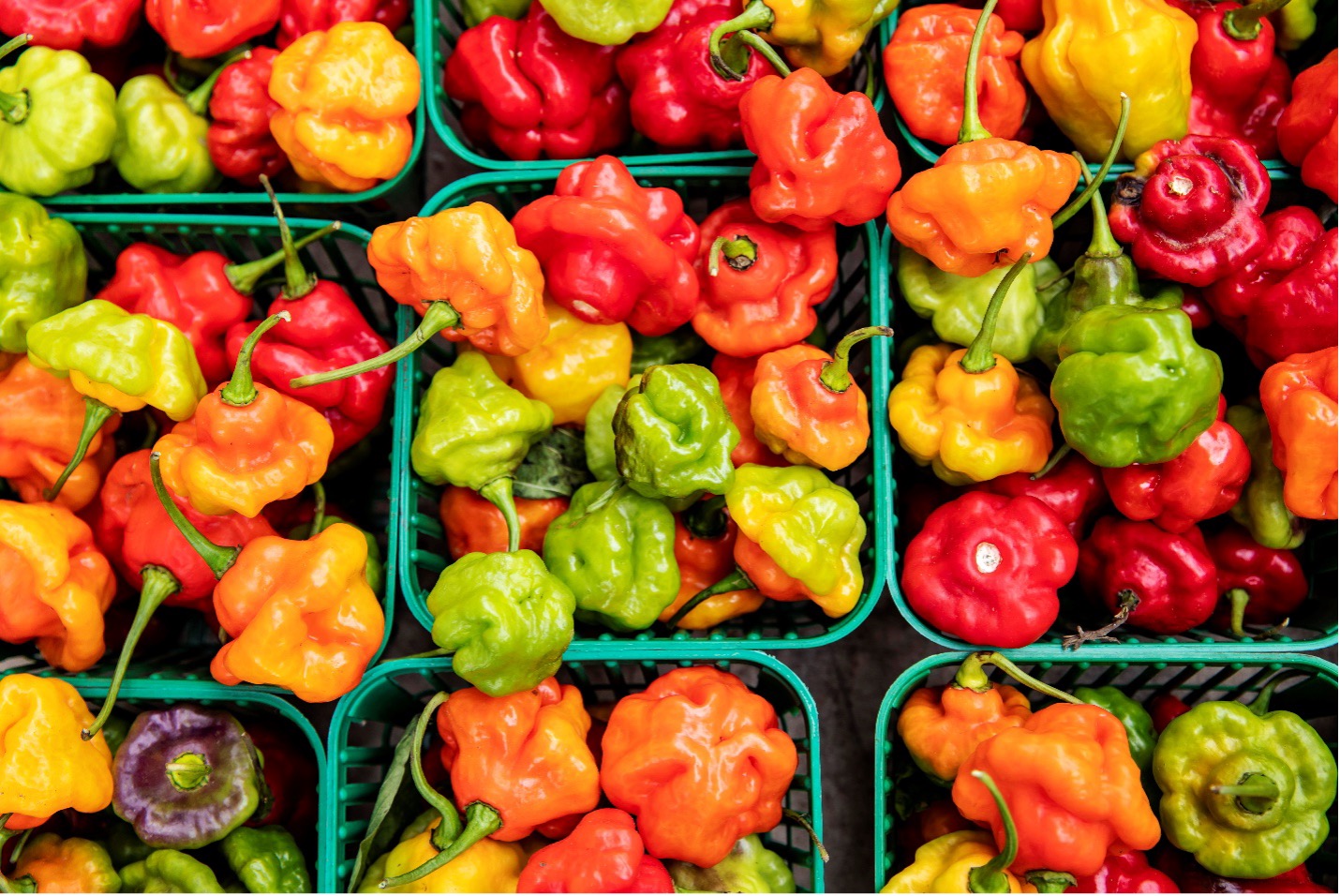 Multiple baskets of multi-colored peppers as seen above